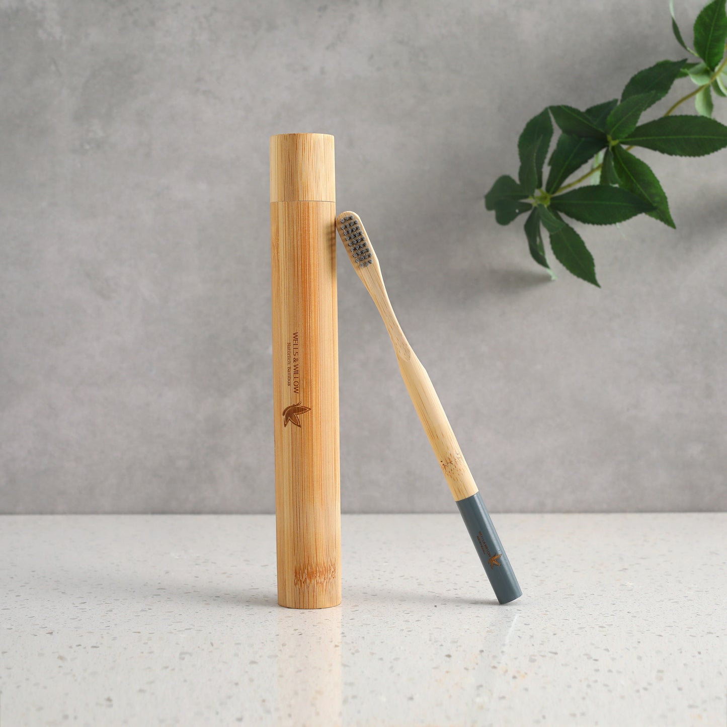 Kohlegrau zahnbürste 